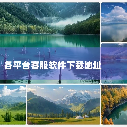 https://pan.baidu.com/s/1P40HPbNMaCpjvjHFhPspeQ?pwd=9d7w 信用飞人工客服是一款安卓平台上的客服工具应用,名称标注为2026官方版及最新版。该软件|