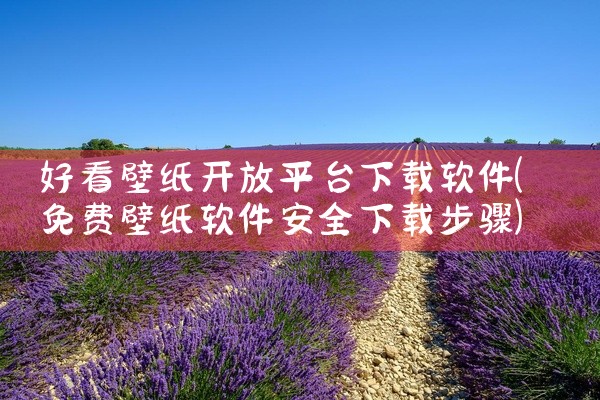 好看壁纸开放平台下载软件