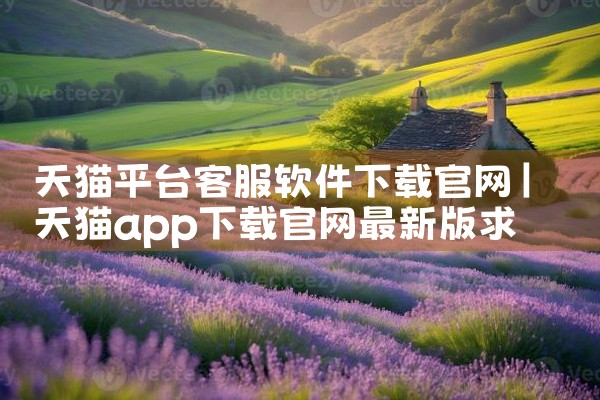 天猫平台客服软件下载官网