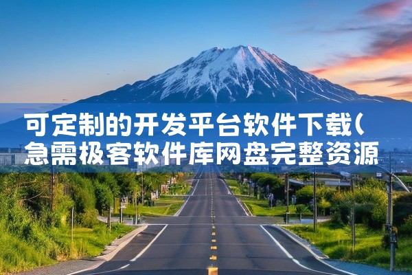 可定制的开发平台软件下载