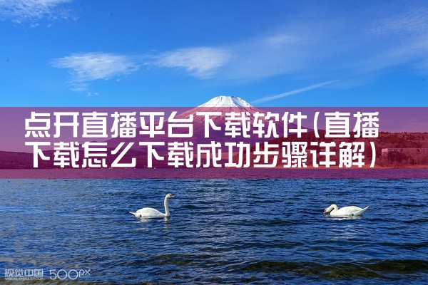 点开直播平台下载软件