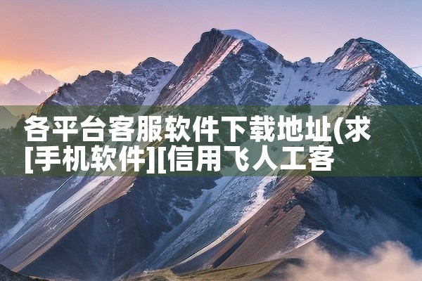 各平台客服软件下载地址